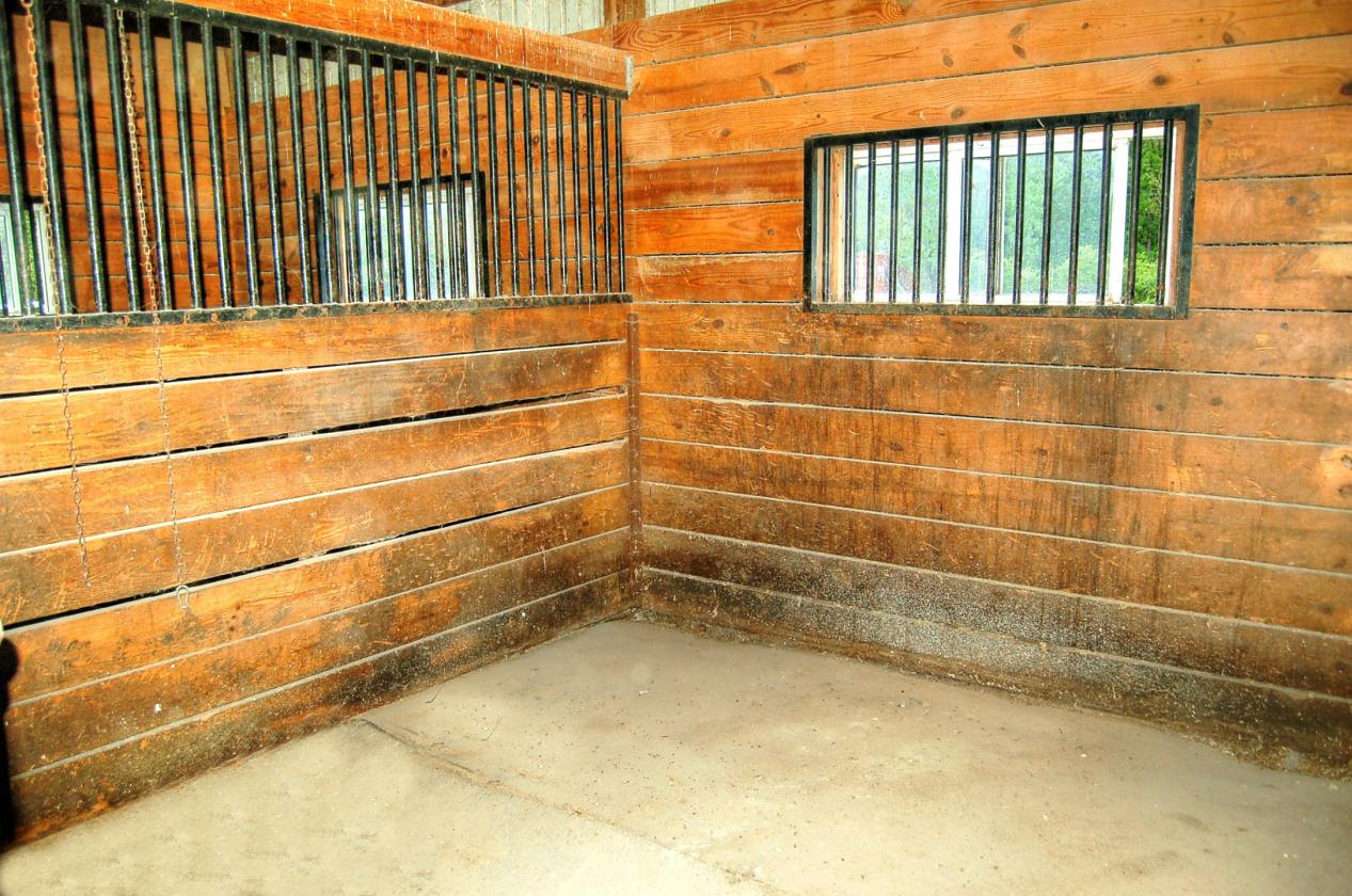 Morris horse farm with heated stable & Indoor - photo 12