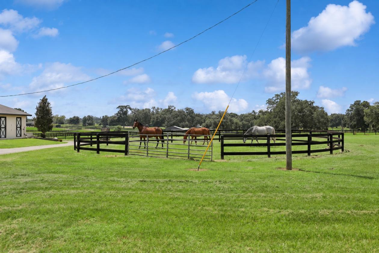 LUXURY TURNKEY 28.62-ACRE EQUESTRIAN ESTATE - photo 26