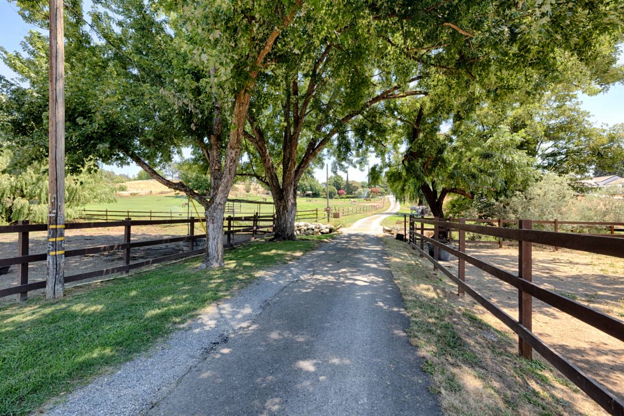 Horse Property for sale.