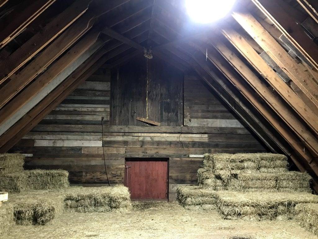 House with Horse Stables and Riding Arena in Binghamton NY