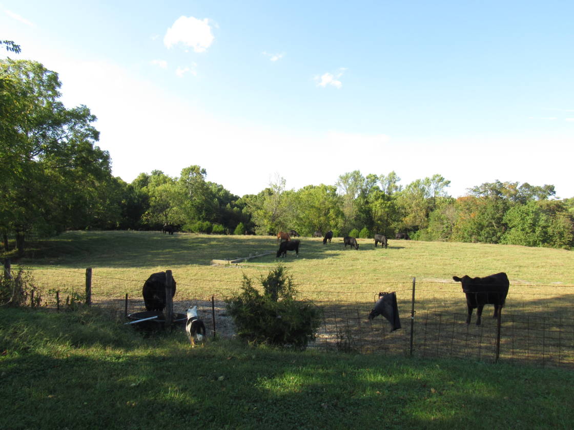 Horse farm for sale Parke County Indiana near Raccoon Lake