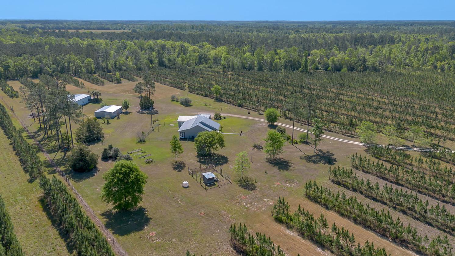 Horse property with gorgeous views - photo 12