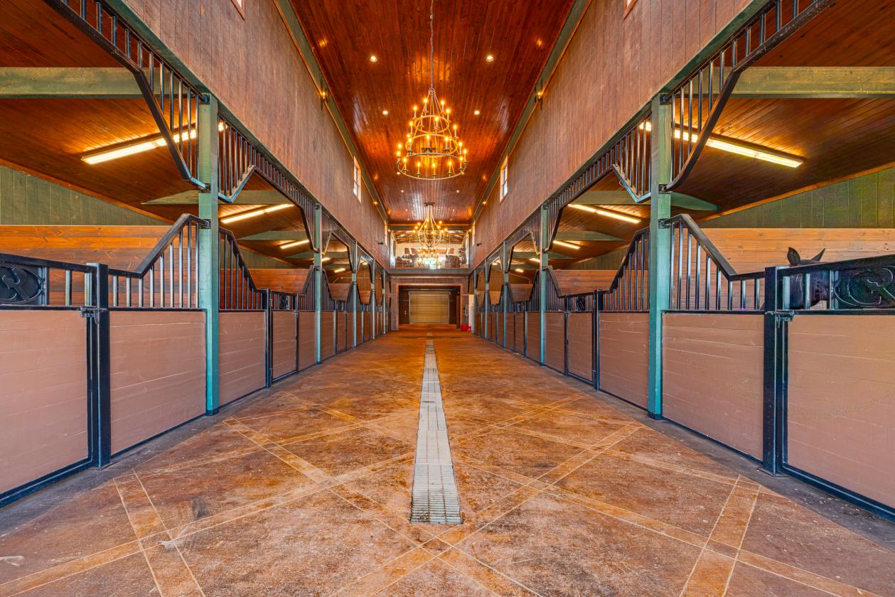 Luxury Equestrian Estate - photo 13