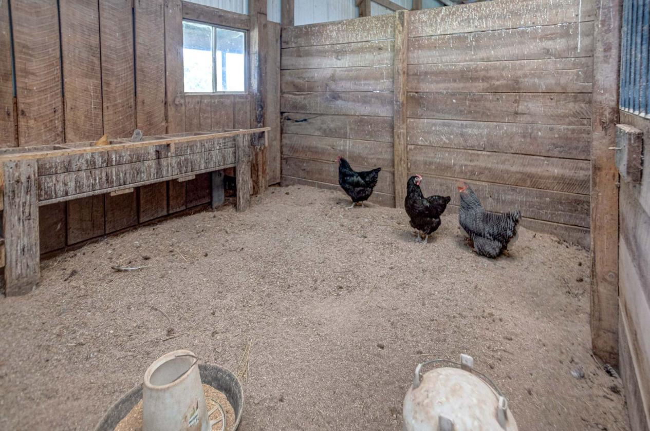 One-of-a-Kind Horse Property - photo 23