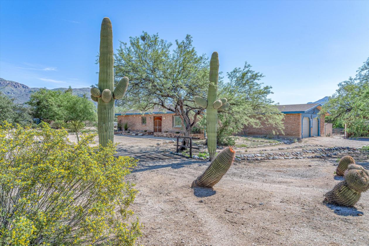 Tanque Verde Valley Horse Property! - photo 5