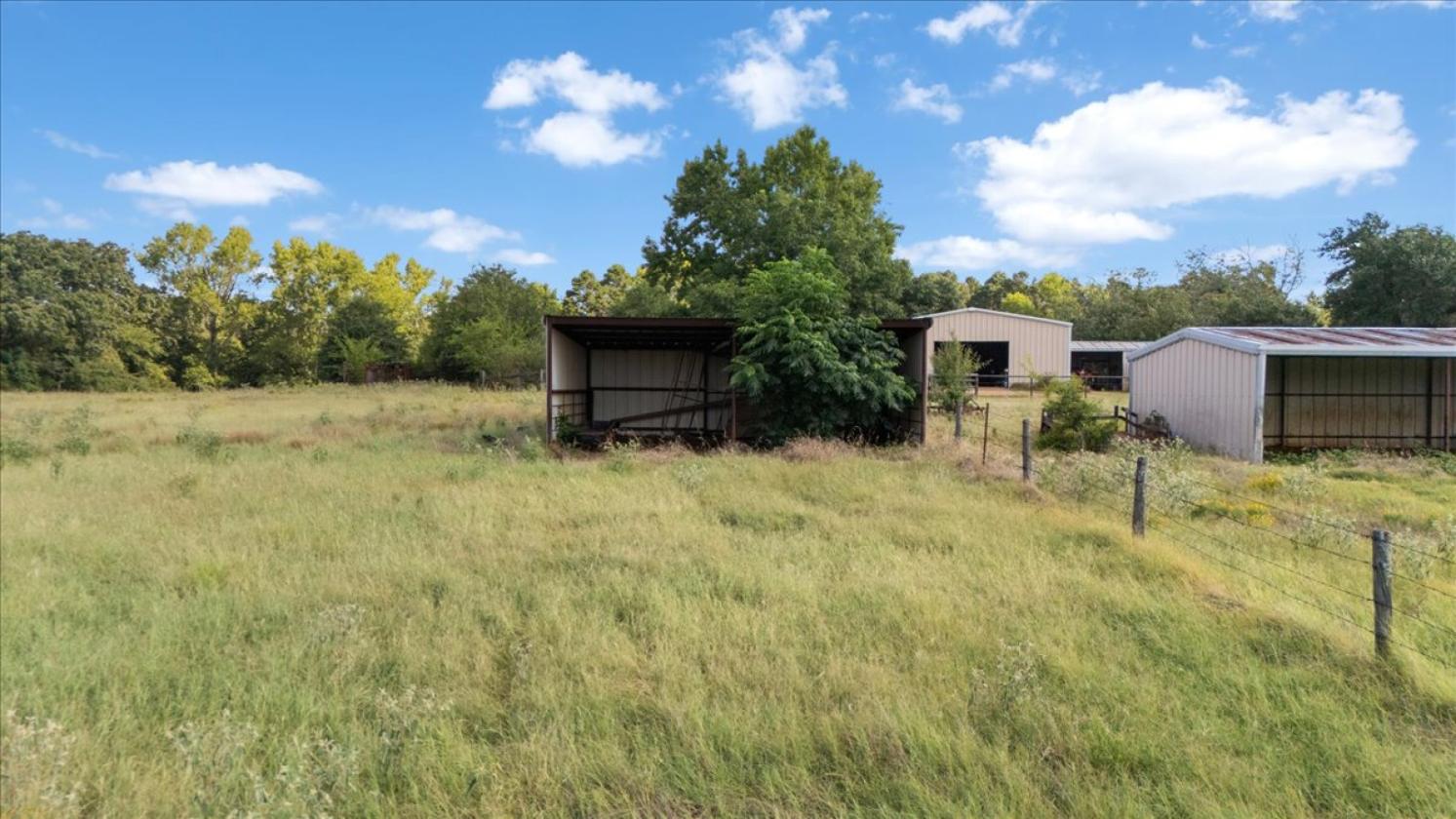 Hickory Hills Farm - 52 acres - photo 19