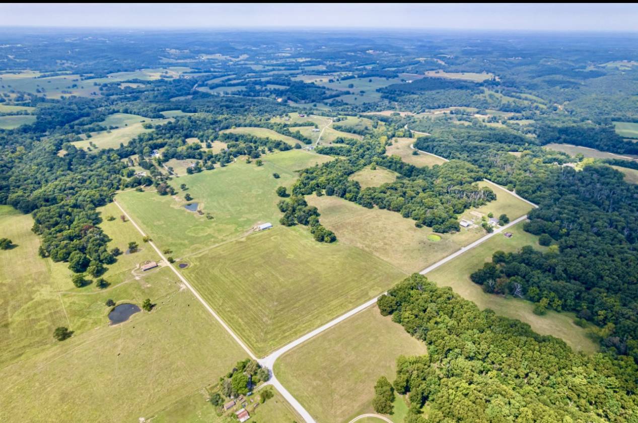 206 beautiful mostly level land - photo 18