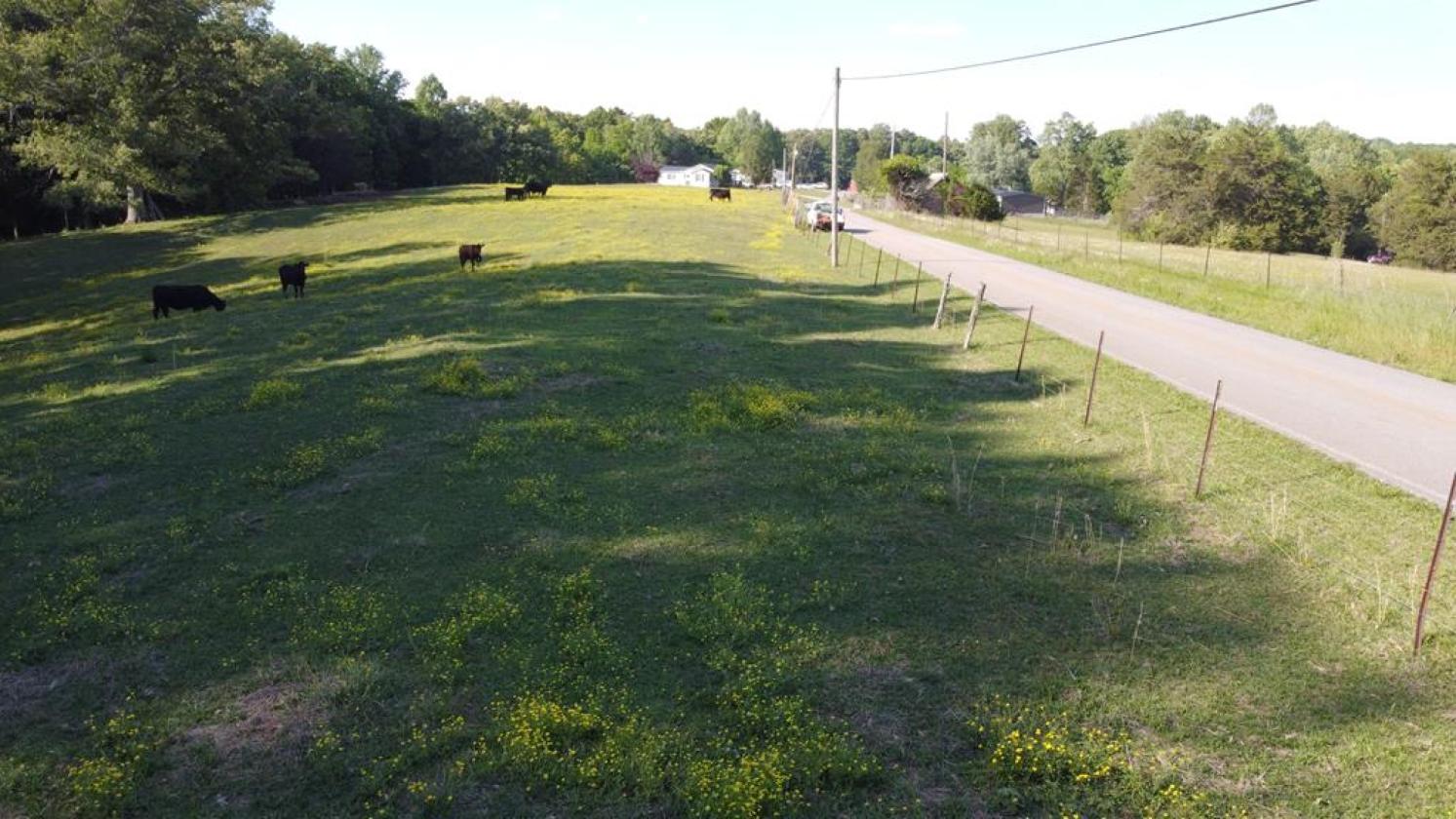 Home ready for horses or cattle from day one - photo 8