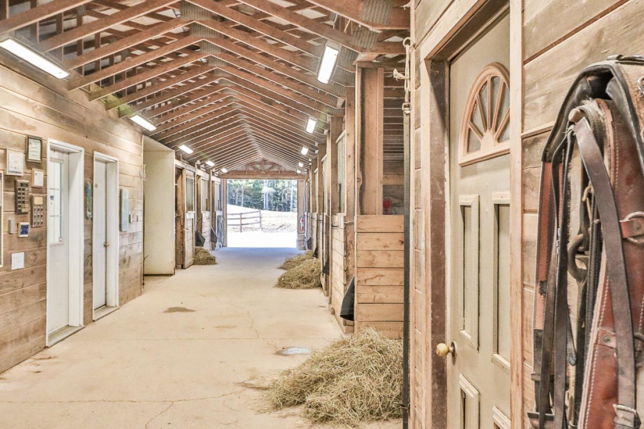40 Acre Equestrian Property with Indoor Arena - photo 8