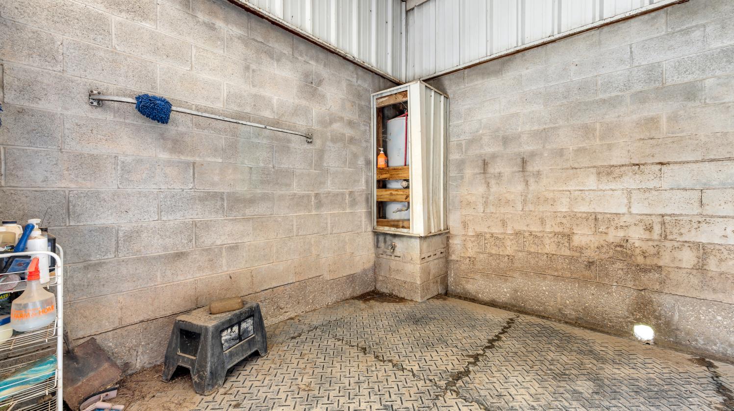 The Ultimate Equestrian Business Opportunity - photo 10