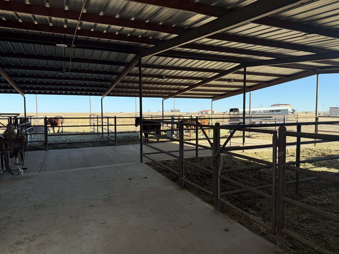 Feedyard & Equine Facility with Modern Homes - photo 26