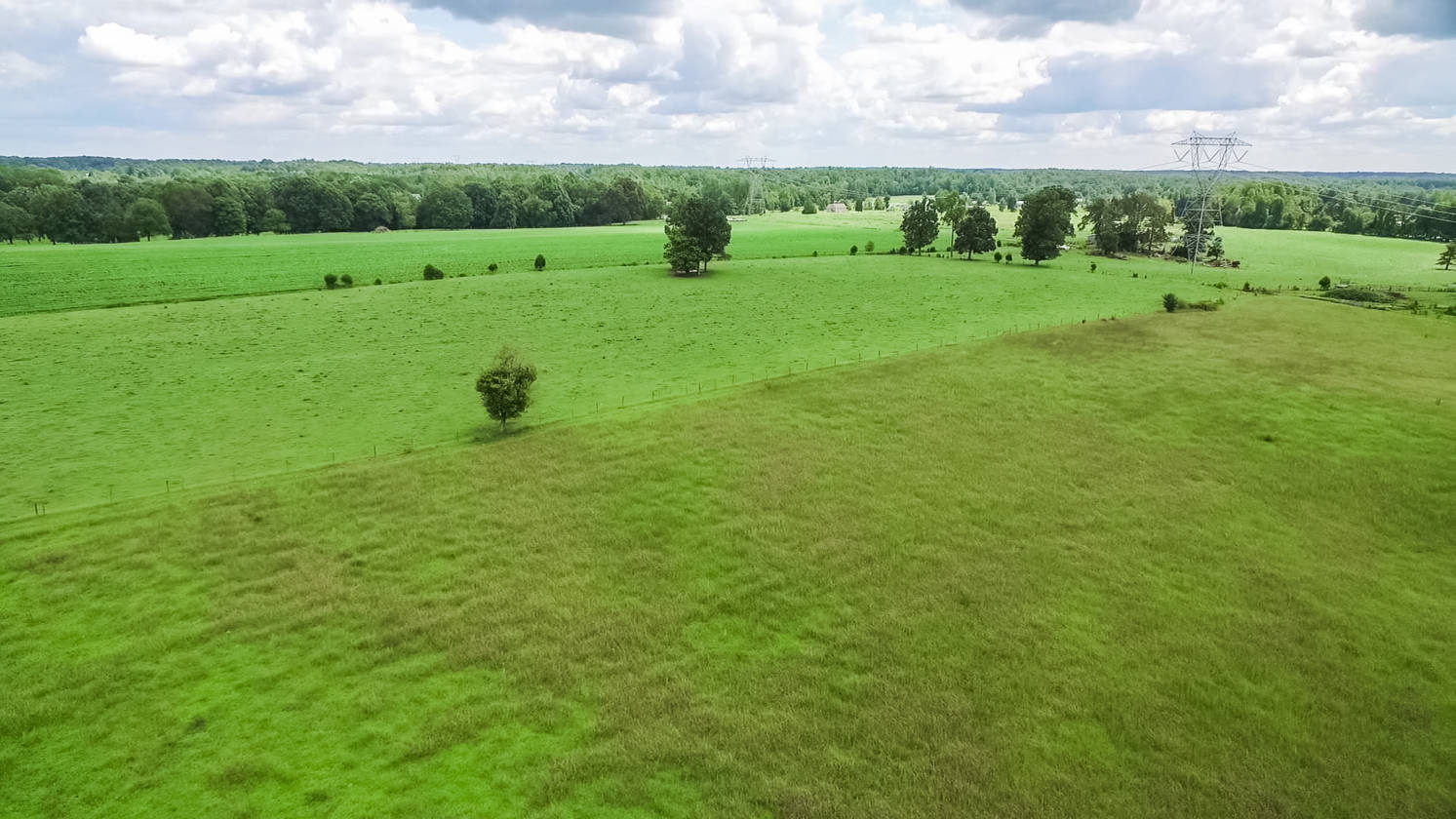 50 Acres, Randoph County, the Heart of North Carolina! Pleasant