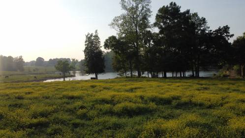 Property image.