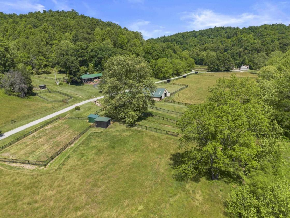 Quiet and Serene Rural Retreat - photo 5