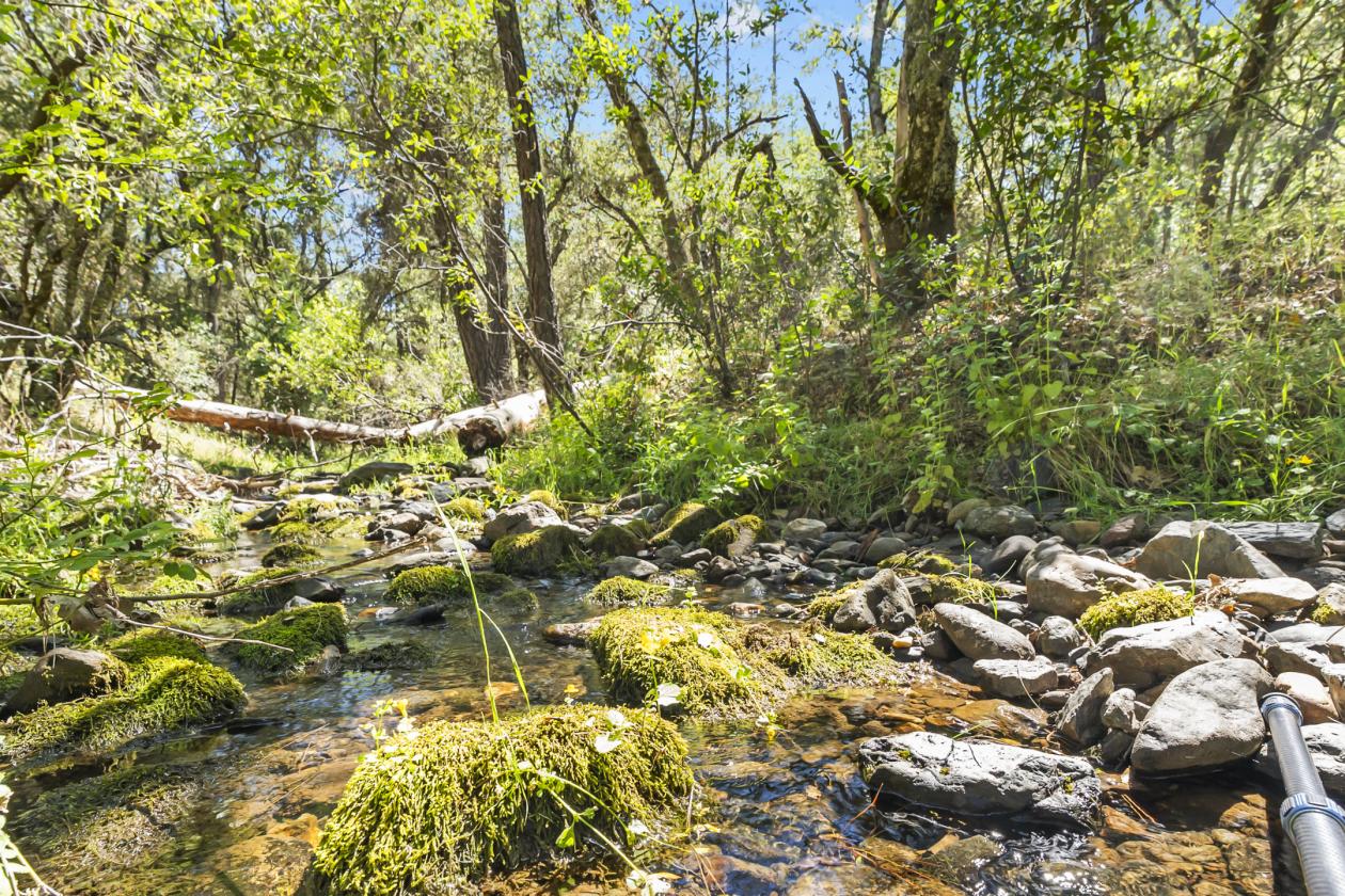 Amoruso Ranch - photo 15