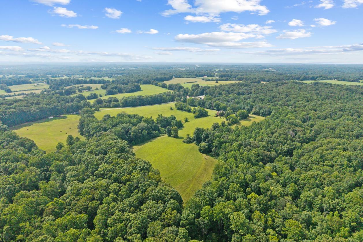 43+ Gorgeous Acres, Pond & Home in Leipers Fork - photo 14
