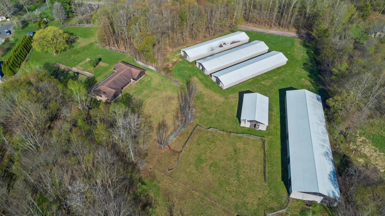 Horse rehabilitation center - photo 3