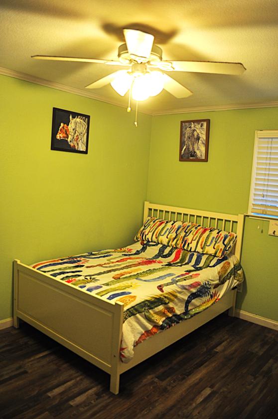 In-Town Horse Property with Charming Ranch Home - photo 14
