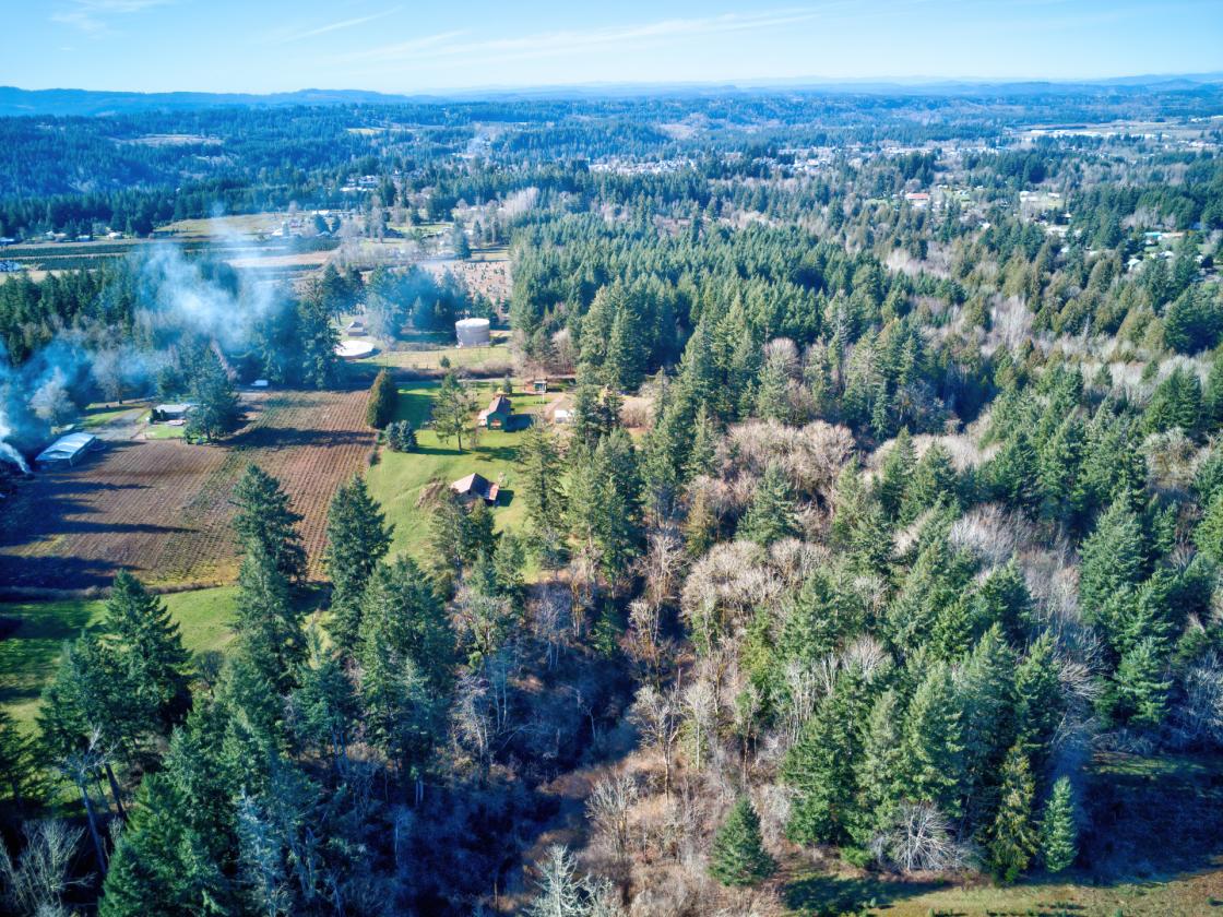 Getting harder to find 25 Acres with 2 creeks - photo 17