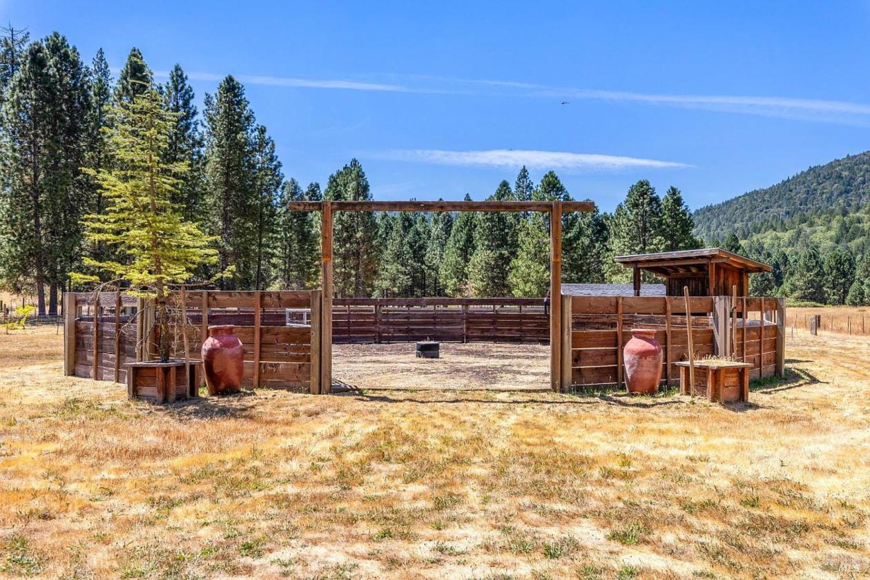 Turnkey Horse Property on ~5 Acres - photo 29