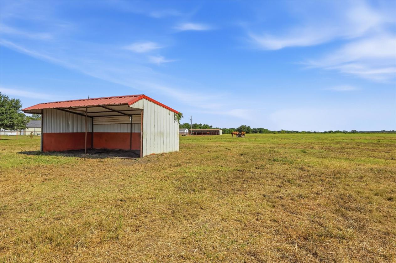 Peaceful Country Living on 15 Acres - photo 29