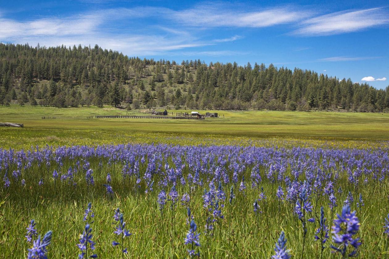 Aspen Ridge Ranch - photo 14