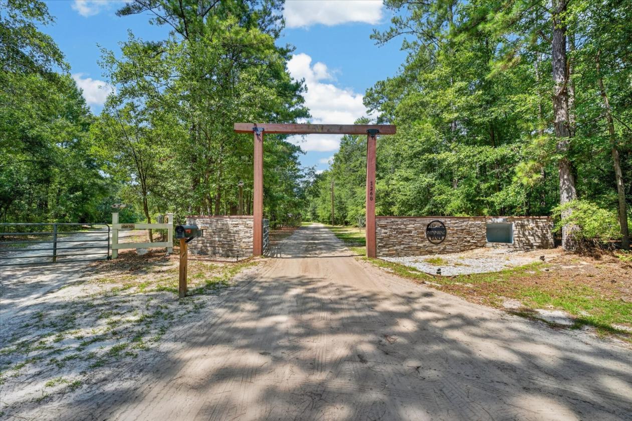 Welcome to Sunshine Ranch, a horse haven - photo 20