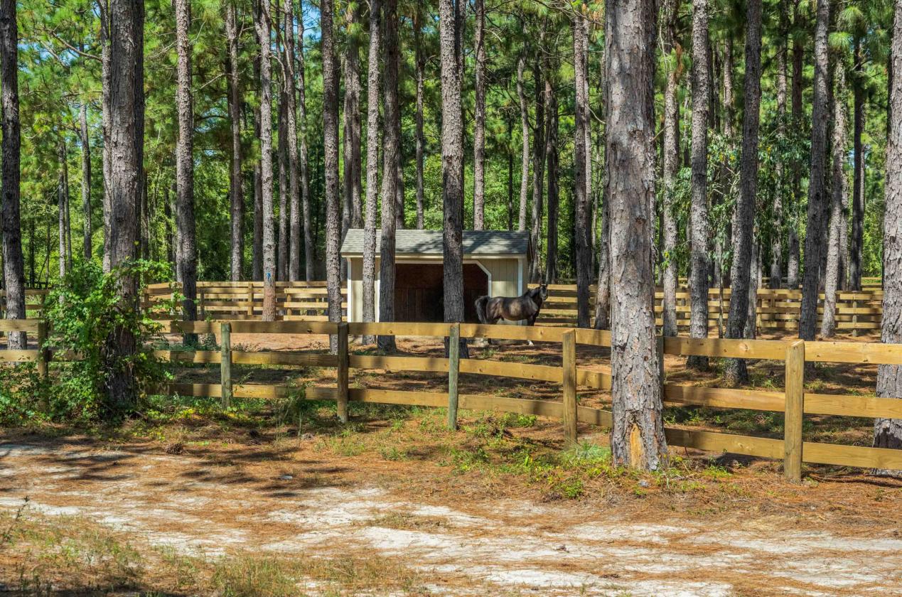 40 Acre Turn Key Dressage Facility with Log Home - photo 27