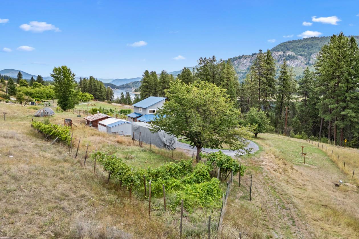Columbia River views on 14 acres w/room for horses - photo 21