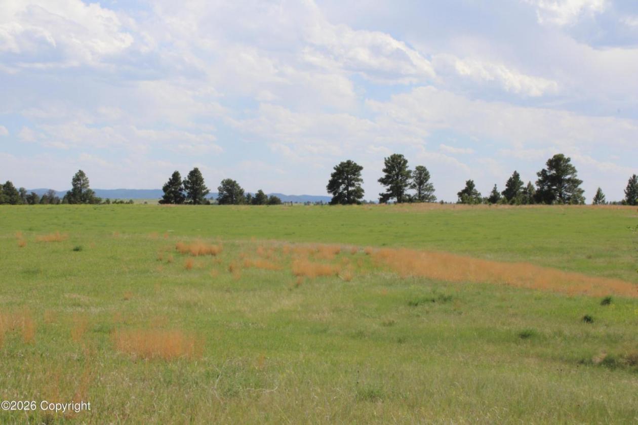Tract 14 Belle River Ranch- NO Covenants -35+ Acre - photo 10