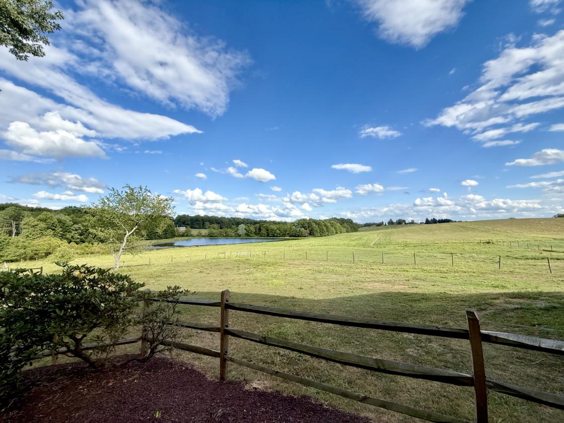 37-Acre 32 Stall Equestrian Estate w/ INDOOR - photo 14