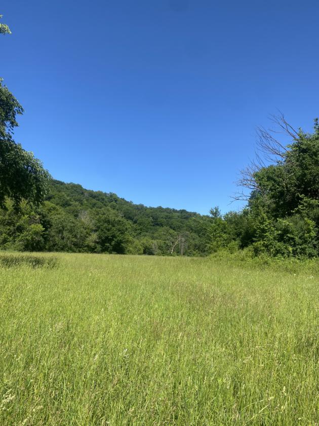 Deep River Farm - photo 16