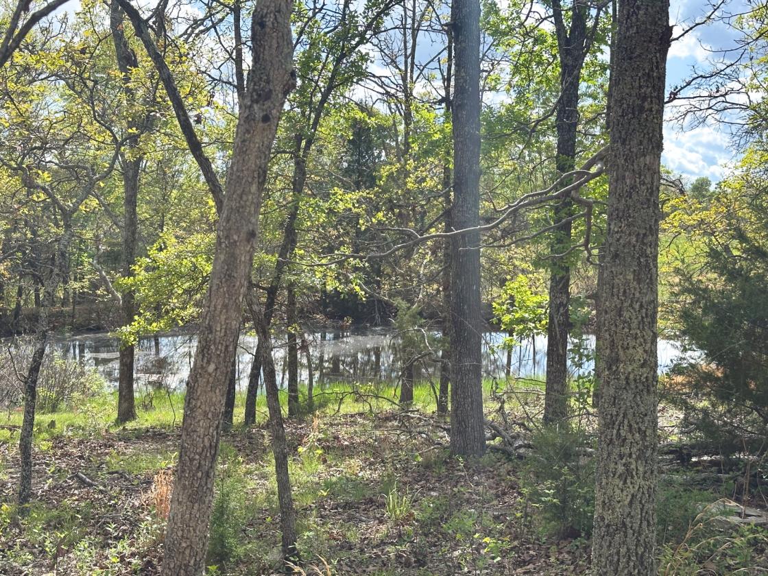 139 Acre Farm - Horse & Livestock Ready - photo 15