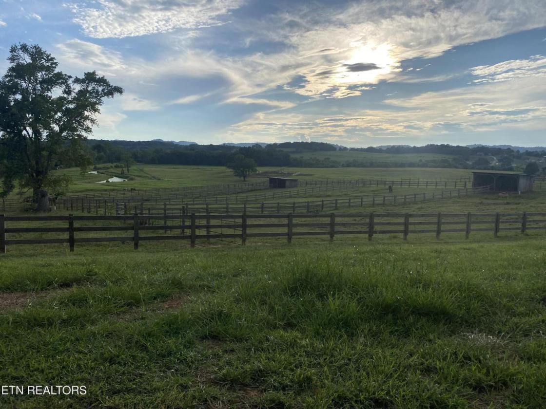 Exceptional horse ranch on 52 acres - photo 29