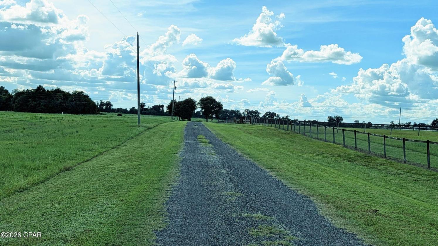 13.25 Acres of Prime Country Living in NW FL - photo 7