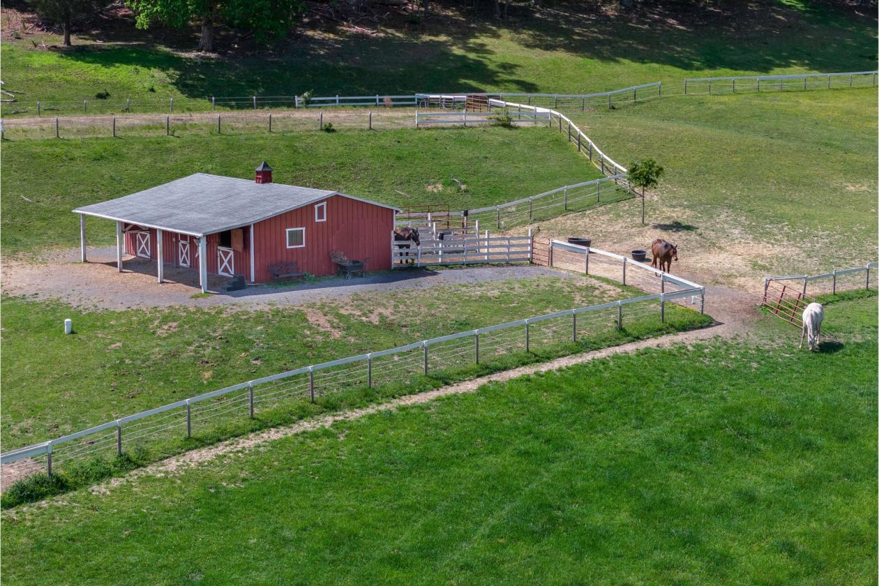 Beautiful Horse Property on 16.13 Acres - photo 5