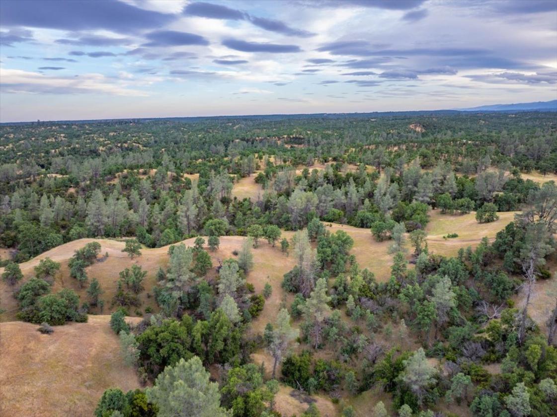 480 Acre Litte Crane Creek Ranch - photo 7