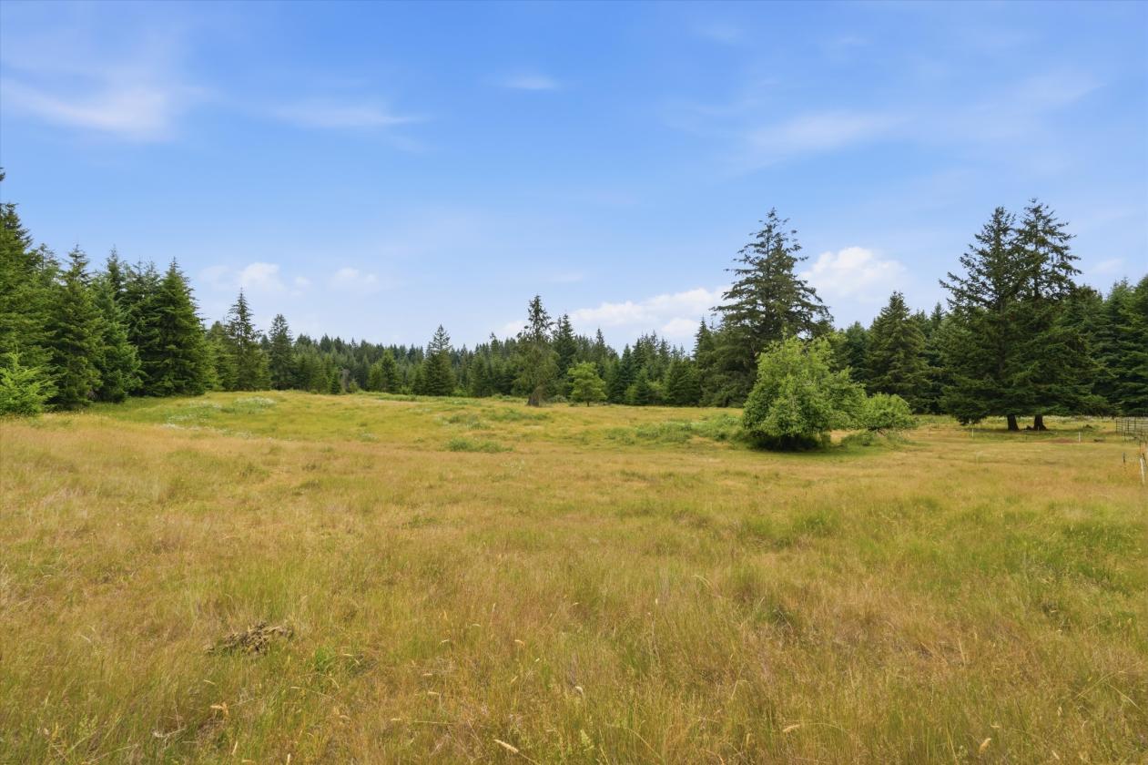 9.11 Acres with 8 Stall barn & Indoor Arena! - photo 27