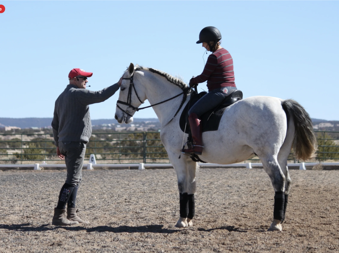 Established Santa Fe Equestrian Estate - photo 29