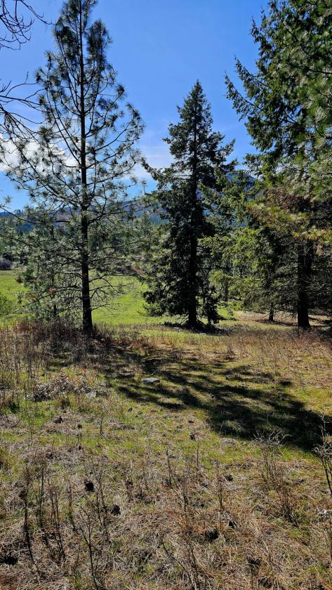 Gorgeous 63 Acres - photo 7