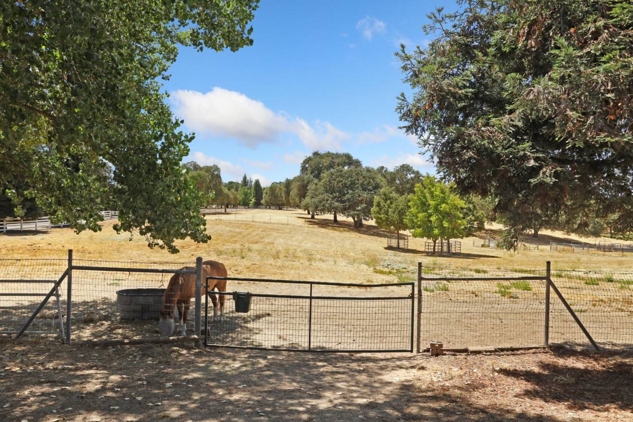 Estate with 7 pastures, 2 homes, lake, Vineyard - photo 5