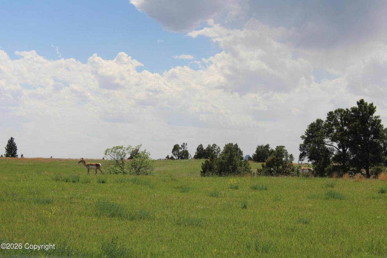 Tract 14 Belle River Ranch- NO Covenants -35+ Acre - photo 15