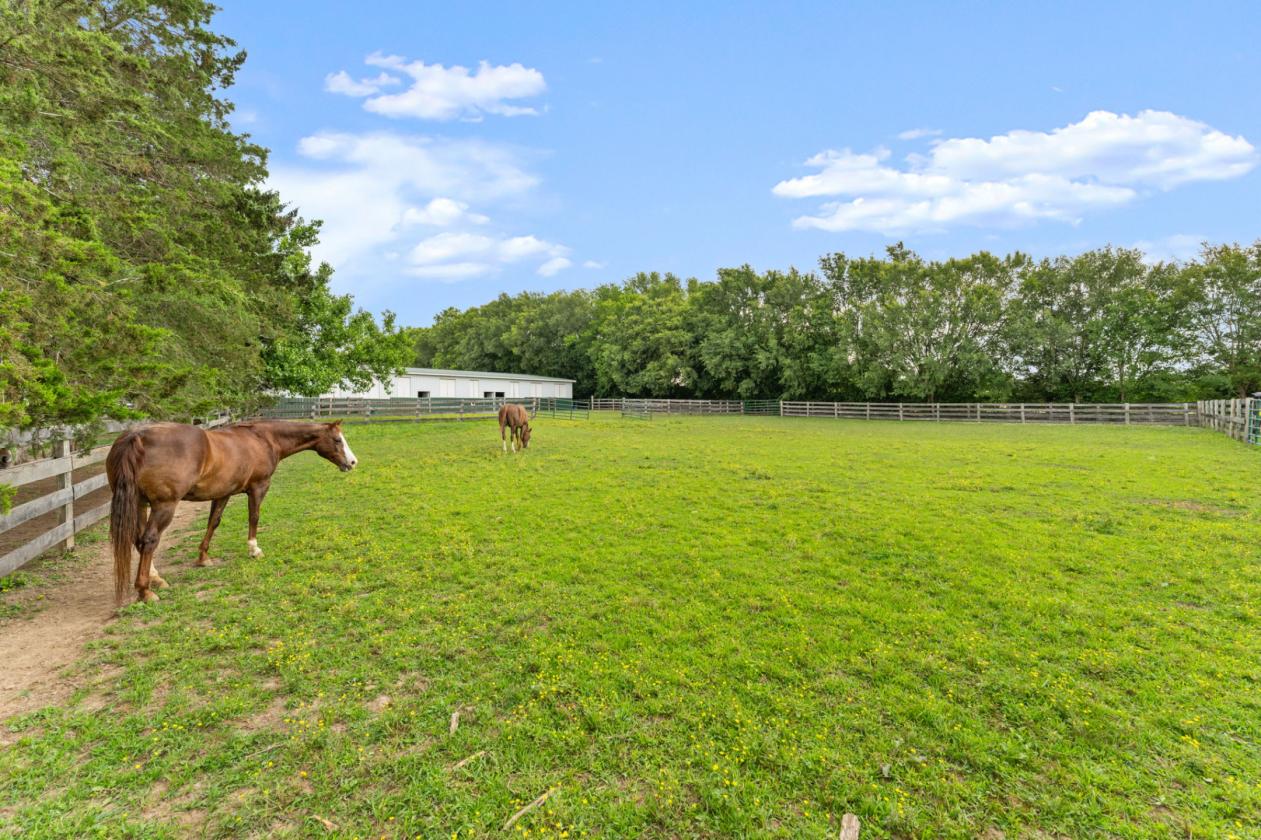 57 Stalls Indoor Arena ~Outdoor Arena ~25 Acres - photo 25
