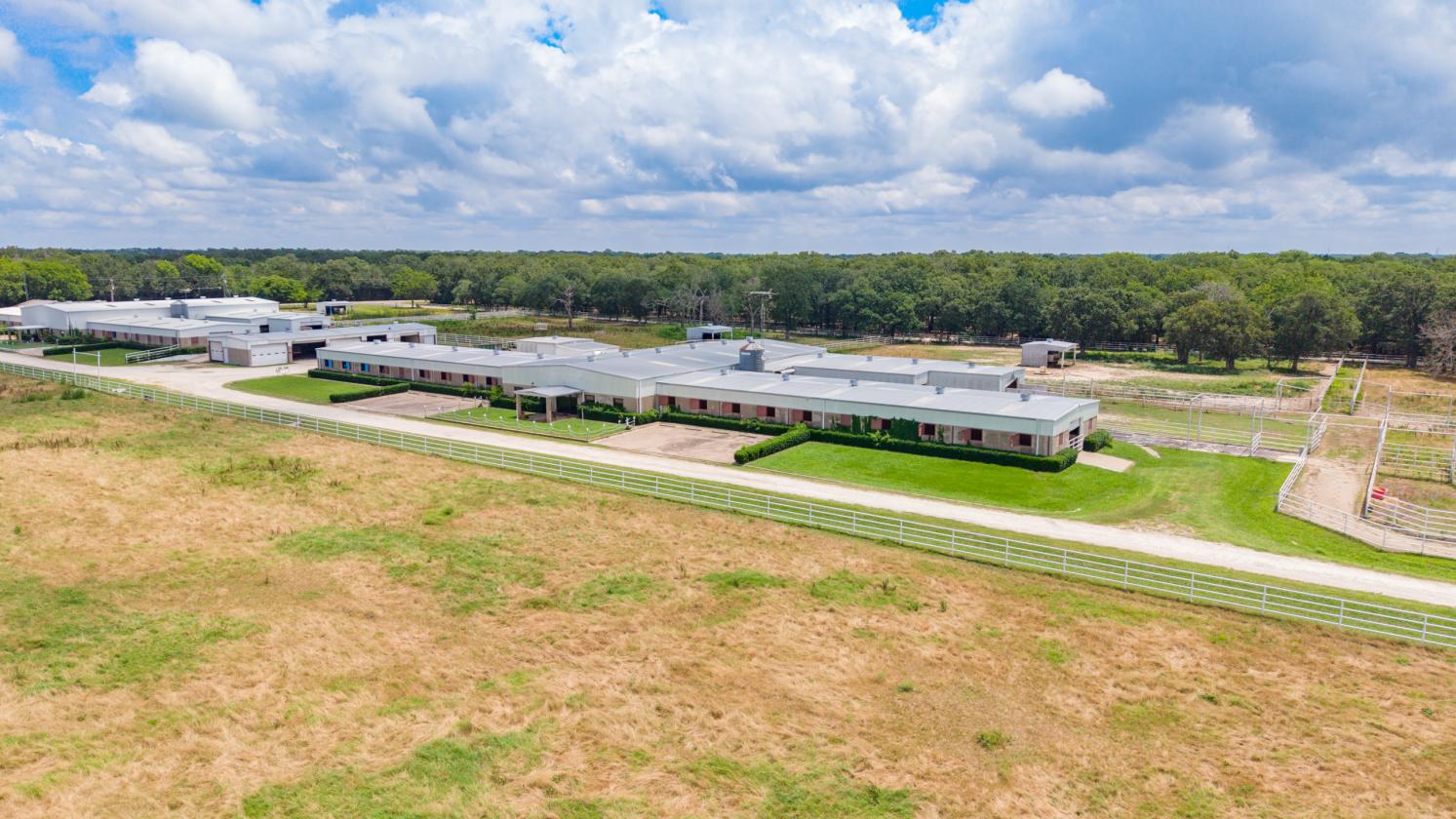 DIAMOND D RANCH EQUESTRIAN ESTATE - photo 19
