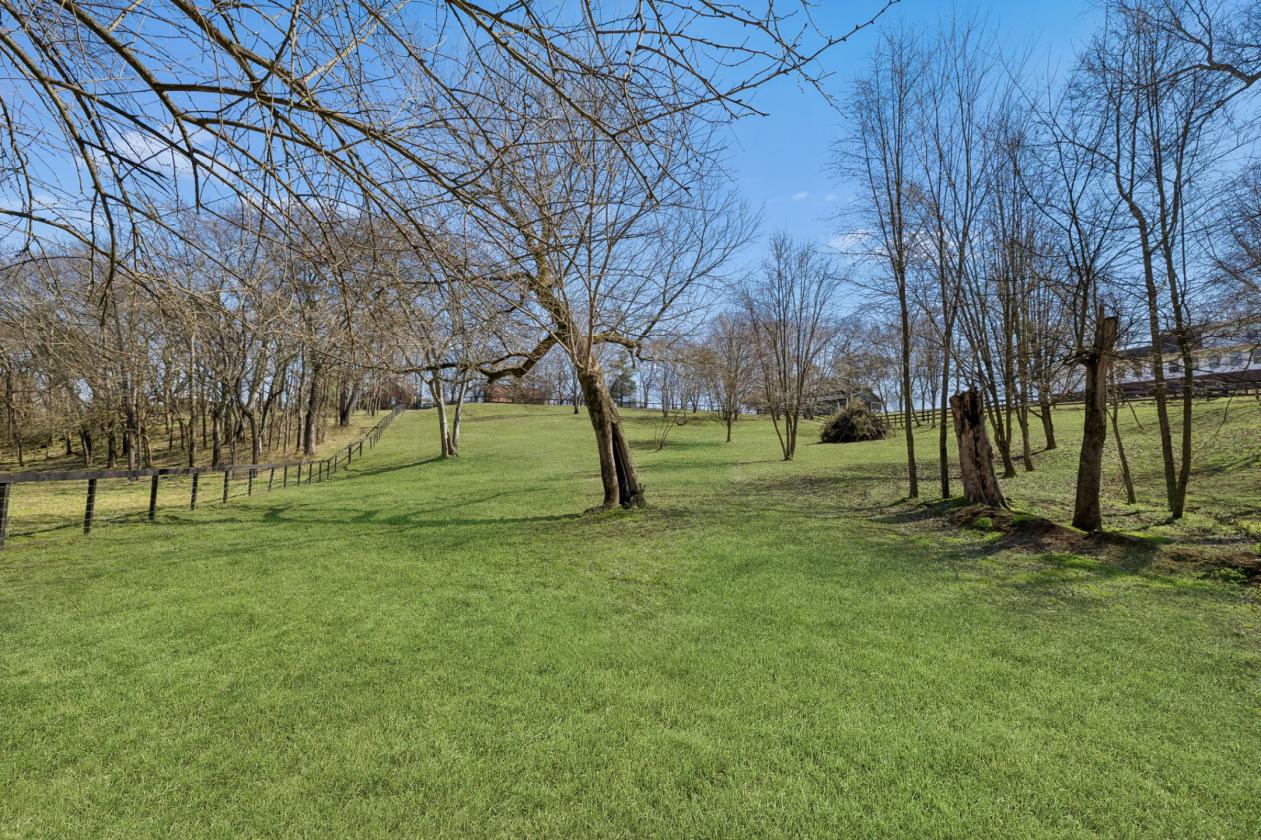 Equestrian Sanctuary with Arena on 5 acres - photo 17