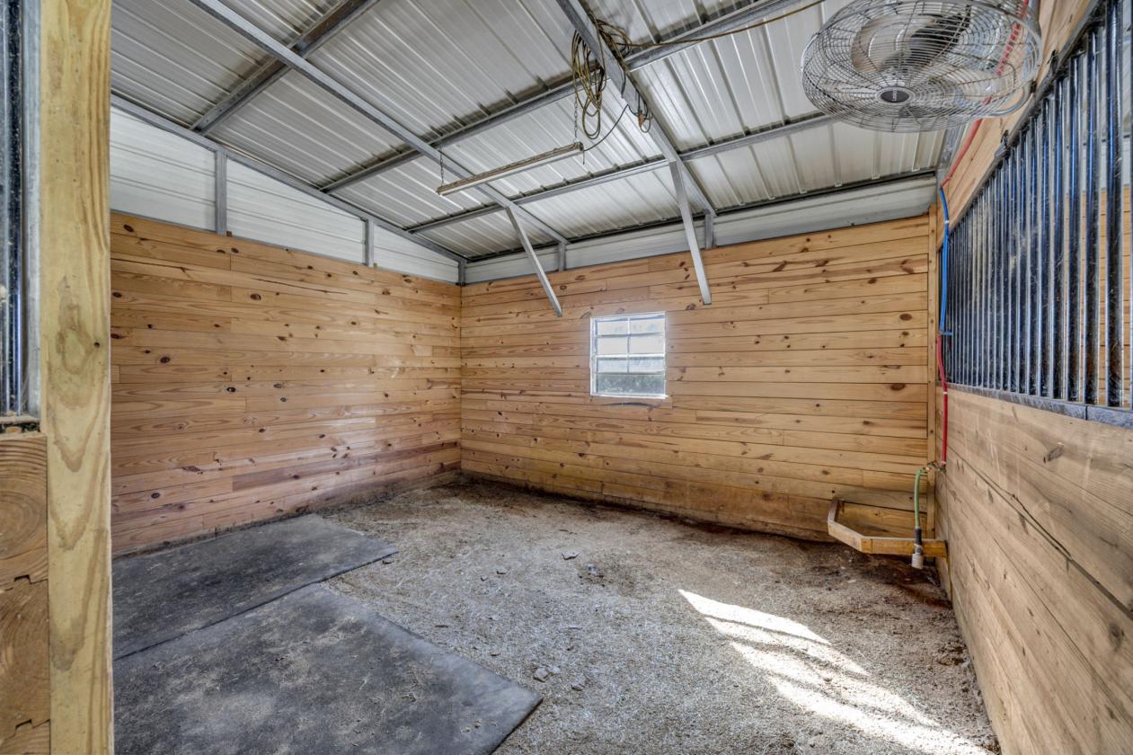 Horse Farm - photo 19