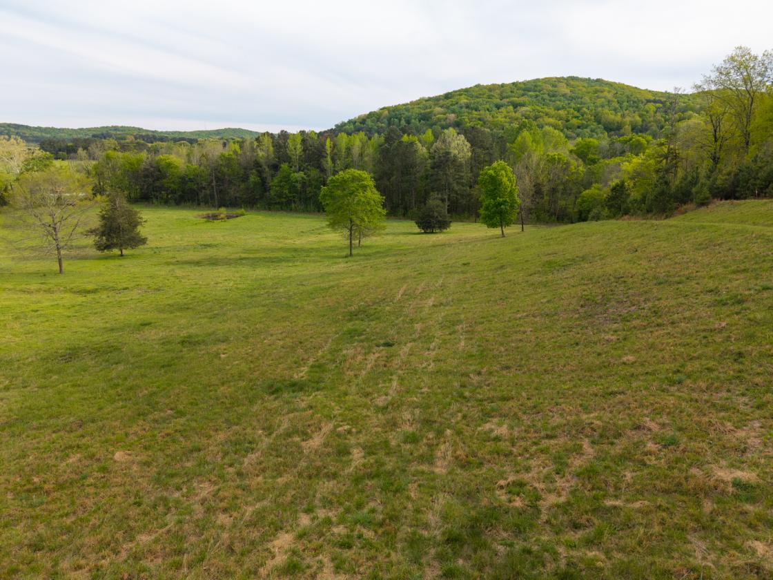 54 Acre Farm with 2 Houses - photo 16