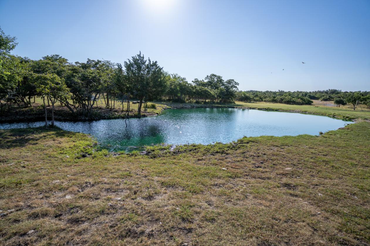 Horse Property on 50 Acres of Rolling Land - photo 15