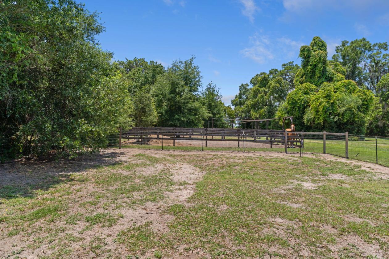 Equestrian opportunity on 2.5 AG-zoned acres - photo 16