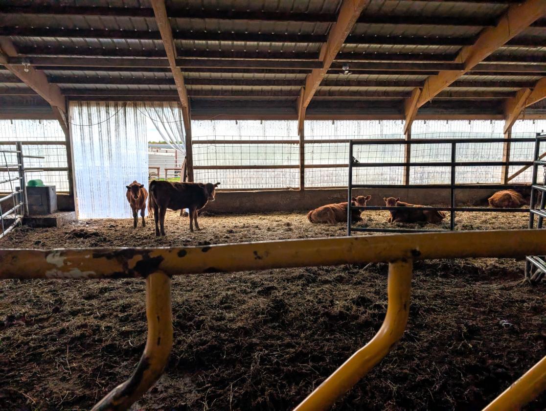 Move-In Ready Hobby Farm with Home - photo 19
